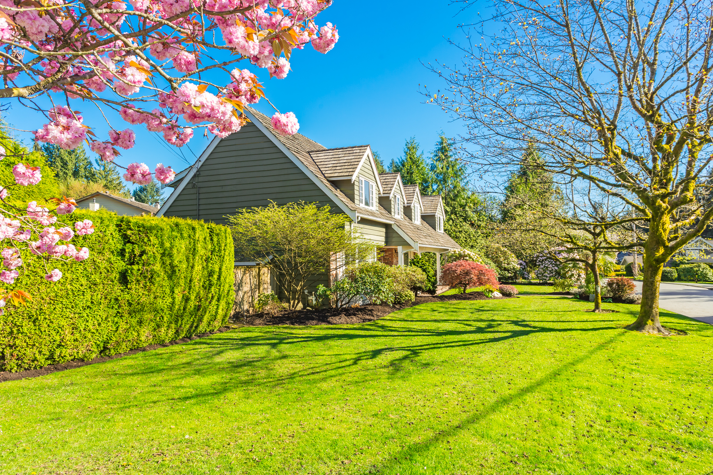 Suburban Home Springtime