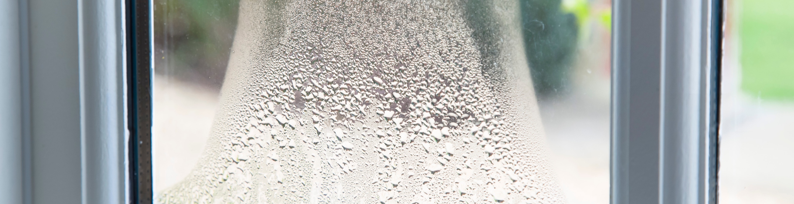 condensation collecting on window of home