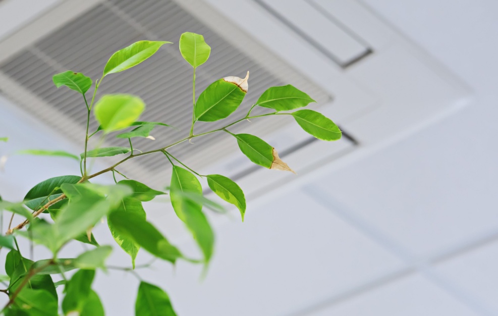 indoor-air-quality-st-louis-HVAC-experts